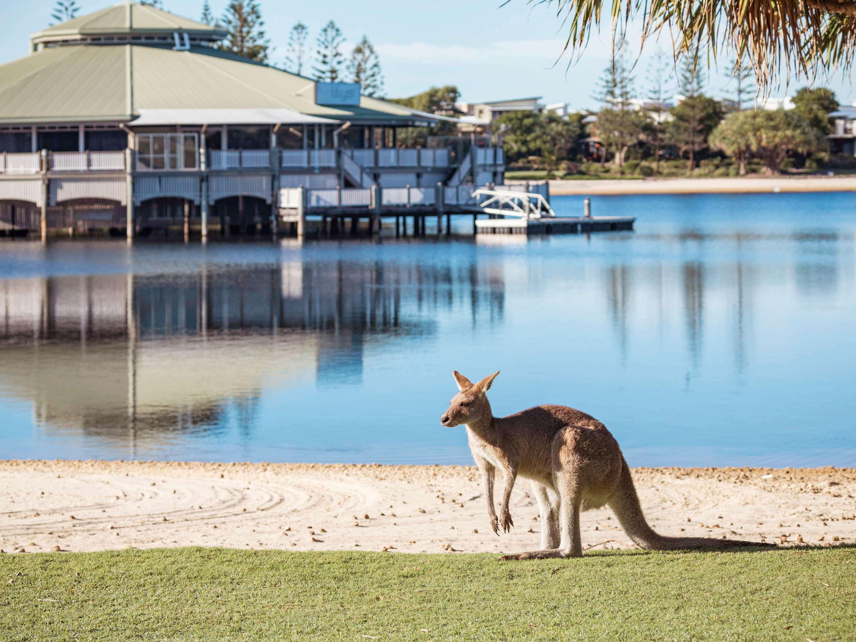 Hotel Novotel Sunshine Coast